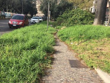 Degrado e incuria in pieno centro a Salerno. La segnalazione di un cittadino