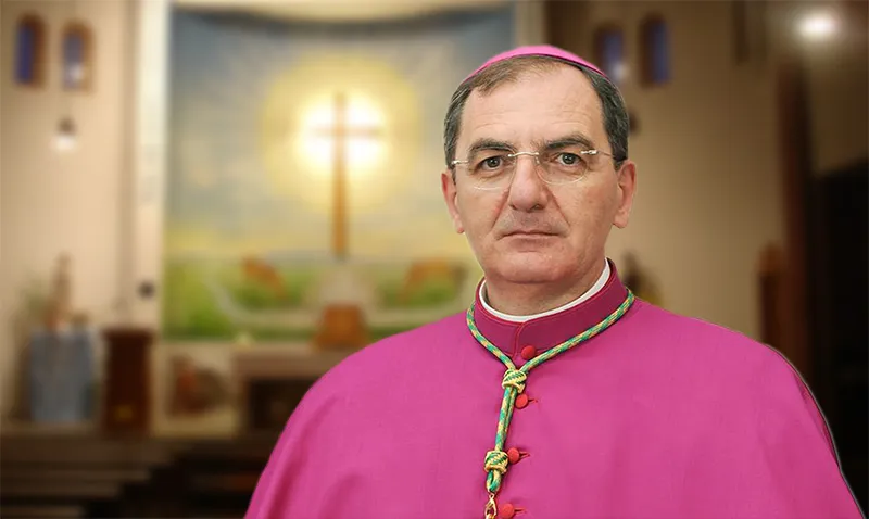 Emergenza peste suina nel Cilento e Vallo di Diano, il vescovo: «Auspico sinergia per soluzioni rapide»