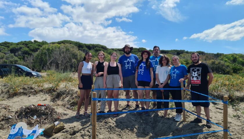 Sulla spiaggia di Marina di Eboli il primo nido di tartaruga sul litorale salernitano