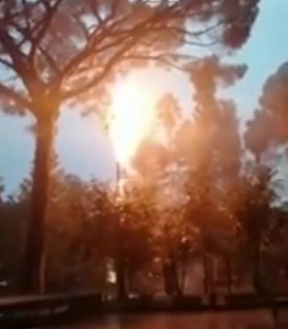 Ad Angri fulmine colpisce un albero in villa comunale e prende fuoco
