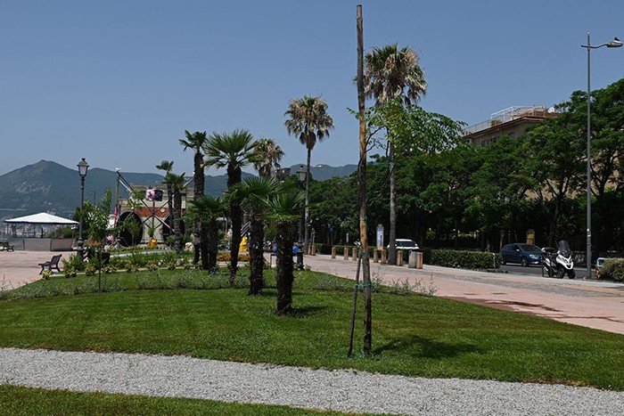 Salerno, vandali nel Giardino di “Asia e gli amici del mandorlo”