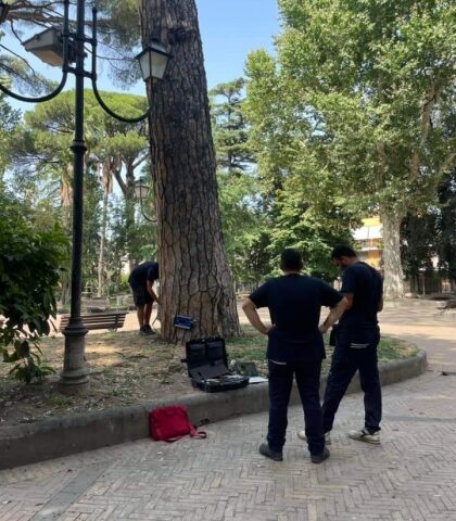 Angri, controllo degli alberi in villa comunale