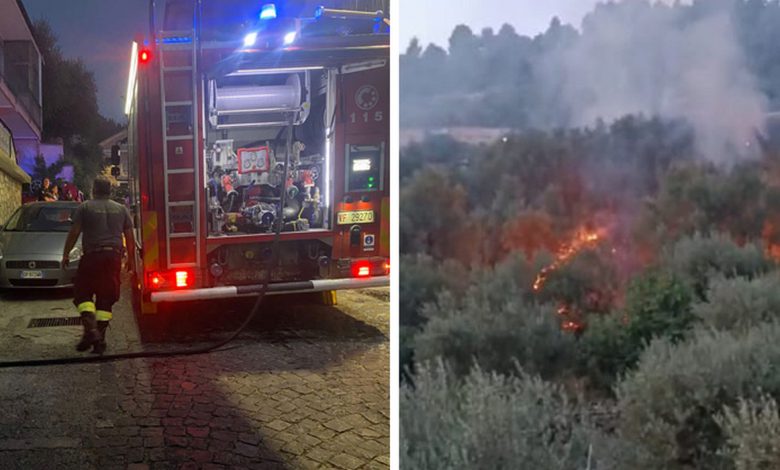 In fiamme uliveto a Sala Consilina, intervengono i vigili del fuoco