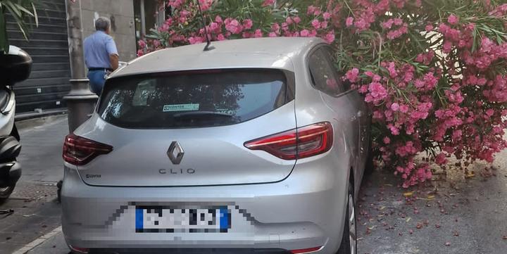 Salerno, albero di spezza e finisce su un’auto