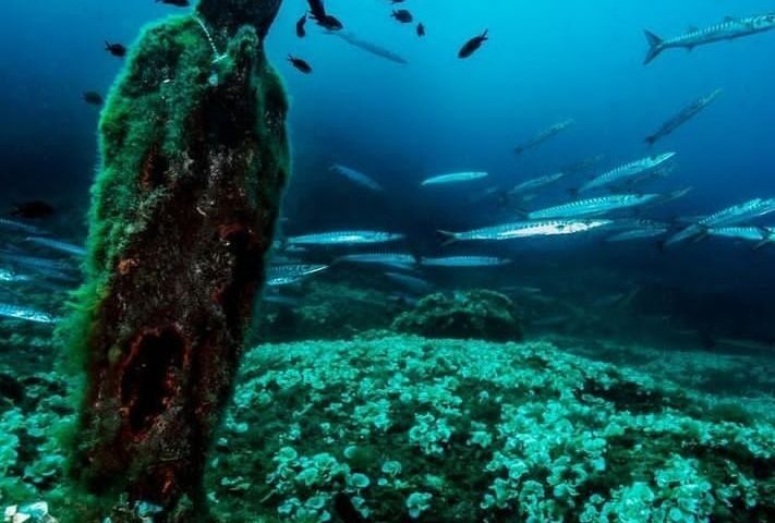 Punta Campanella, ecco la videosorveglianza al Vervece