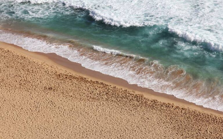 Mare verde a Casal Velino, l’istituto Zooprofilattico: colore prodotto da alghe non nocive