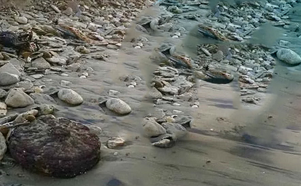 Paestum, mina anticarro ritrovata in spiaggia