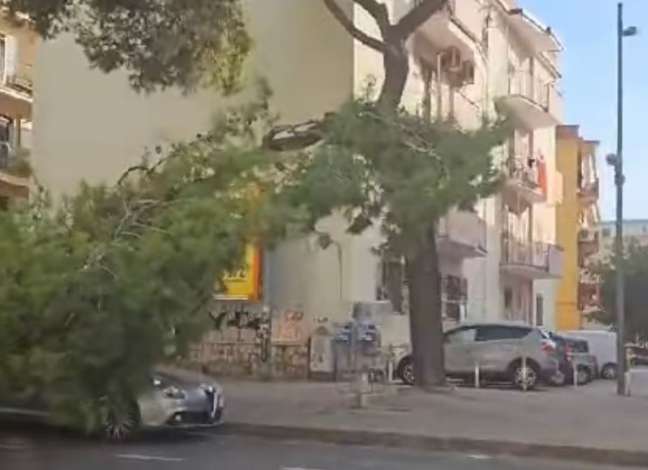 Salerno, a Torrione cade albero e finisce su un’auto