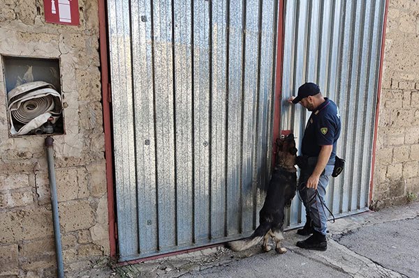 Nocera Inferiore, controlli a tappeto sul territorio