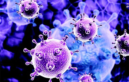 Epatite C, Campania Regione a elevata prevalenza di infezione da virus HCV