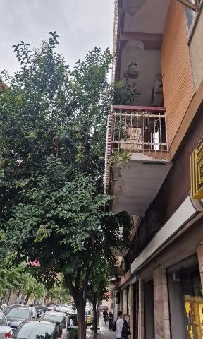 Salerno, Celano. “Piante fin dentro casa dei residenti a Pastena. Nessuna giustificazione è plausibile e tollerabile”