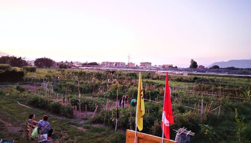 “PIAZZA SCHIERARSI”, A SCAFATI “ALBERI PER IL FUTURO” PRESSO IL FONDO NICOLA NAPPO