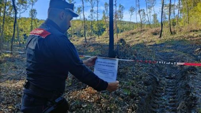 Altavilla, sequestrati 23 ettari di bosco