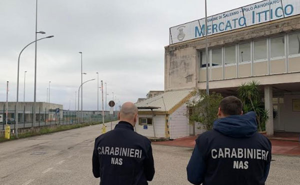 Salerno, blitz al mercato ittico dei carabinieri del Nas: sequestro e diffide