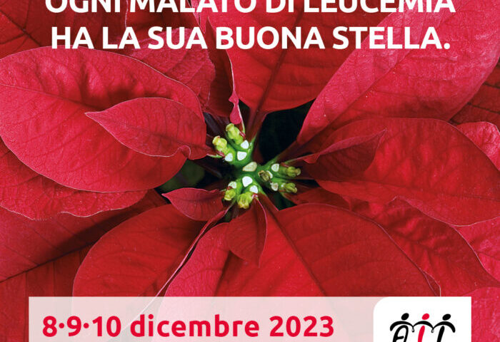 TORNANO LE STELLE DI NATALE AIL NELLE PIAZZE PER LA RICERCA CONTRO LEUCEMIA