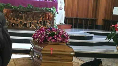 Polla, cane si accuccia in chiesa accanto alla bara del suo padrone