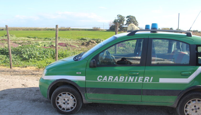 Piana del Sele, scoperta discarica abusiva: denunciato imprenditore