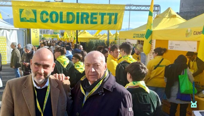 Coldiretti Campania ad agricoltori: nessuno stop a coltivazione grano nel 2024