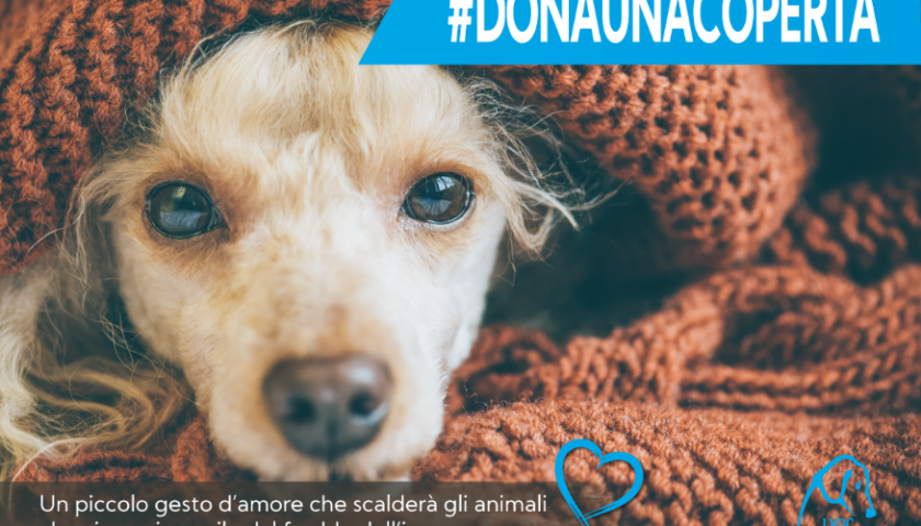 DONA UNA COPERTA AL CANILE PIÙ VICINO, PARTE LA CAMPAGNA PER PROTEGGERE GLI ANIMALI DAL FREDDO