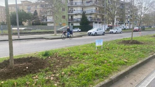 Salerno investe sul verde con la piantumazione di nuovi 14 alberi