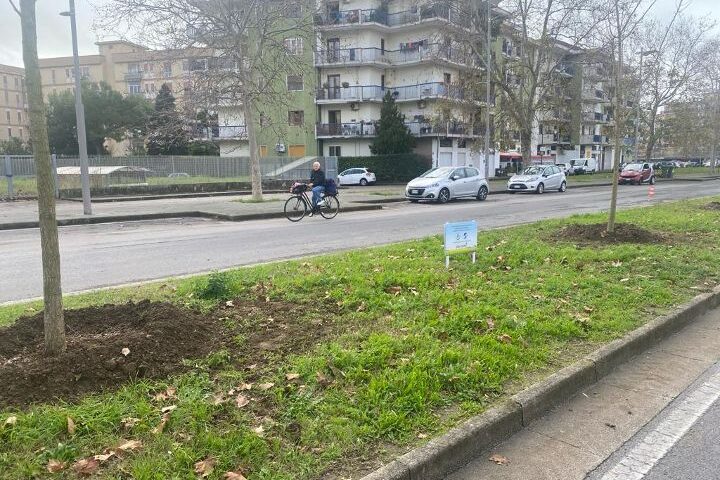 Salerno investe sul verde con la piantumazione di nuovi 14 alberi