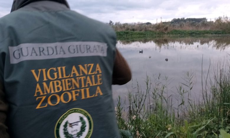 Operazione “Acqua calma” nella Piana del Sele