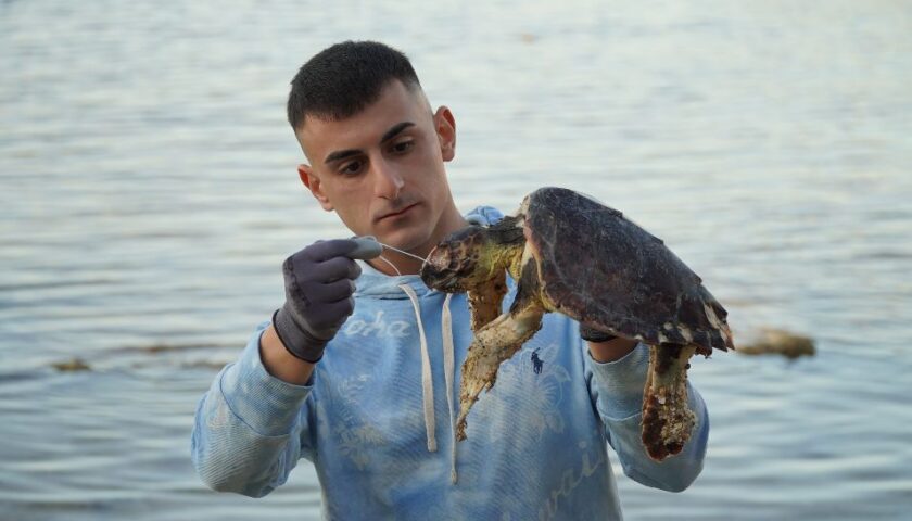 Sos tartarughe: l’ambientalista Sebastian Colnaghi sottolinea l’urgenza di ridurre l’uso della plastica