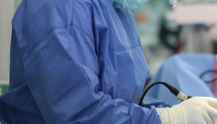 Gattino scuoiato vivo, l’autopsia conferma l’atrocità: “C’è la mano dell’uomo”