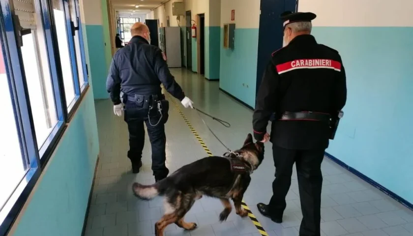 Sala Consilina, controlli anti droga nelle scuole con unità cinofile dei carabinieri. Trovato hashish