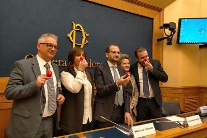 Clownterapia, FdI presenta proposta di legge. Vietri: “Giusto riconoscimento ai volontari”