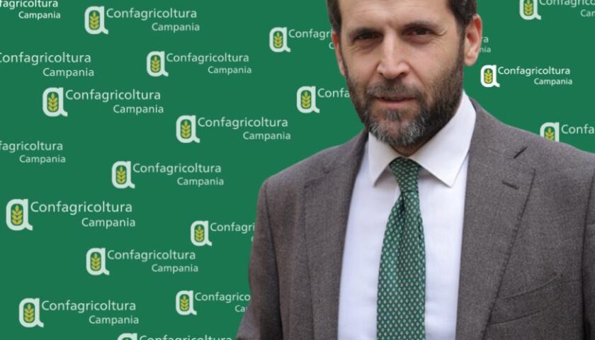 Confagricoltura Campania, Paolo Conte nuovo direttore regionale