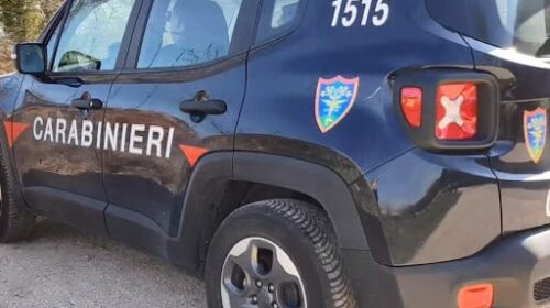 Carabinieri al cimitero di Buccino, sigilli alla discarica abusiva abbandonata tra i rovi