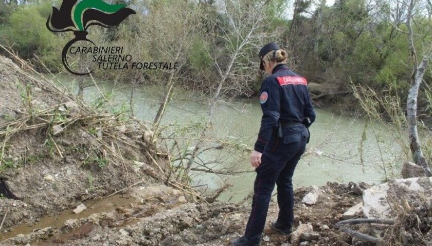 Sequestro in azienda bufalina a Eboli, Lndc anticipa la costituzione di parte civile