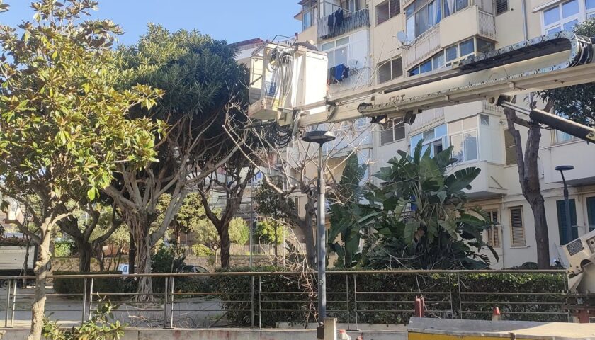 Salerno, iniziati da Santa Margherita i lavori di potatura