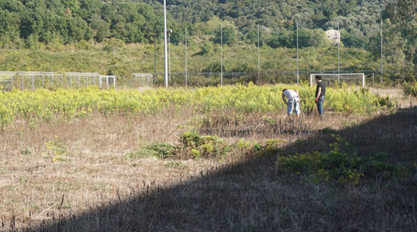 Impianti sportivi a Salerno, Rugby Popolare: “Campetto 24 maggio 1999 nel degrado”