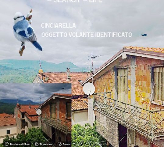 Volatile scambiato per un Ufo a Celle di Bulgheria