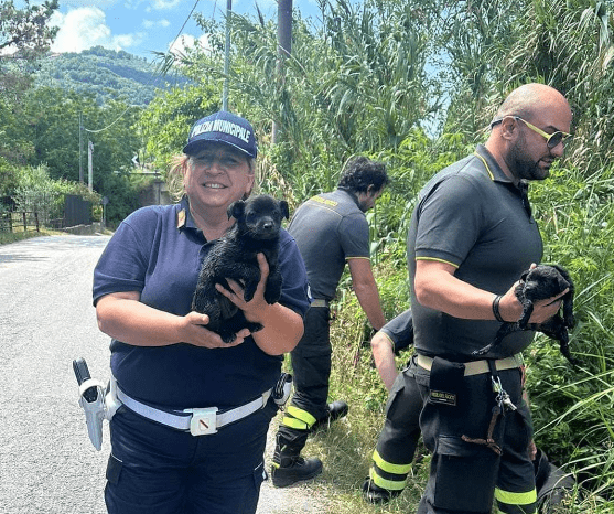 Agropoli, salvati due cuccioli di cane e la mamma