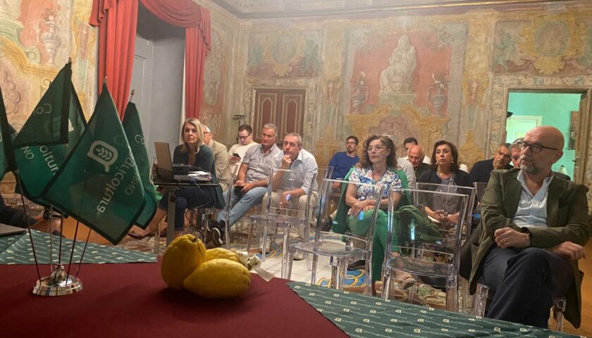 PRESA L’IMPRONTA DIGITALE DEL LIMONE COSTA D’AMALFI IGP
