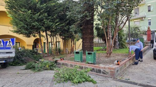Verde pubblico a Salerno, 41 assunzioni ma c’è il rebus sugli ex cooperative