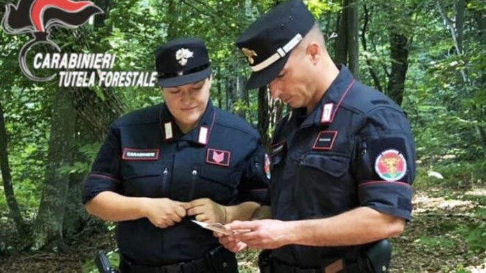 Scarichi anomali nel fiume Secchio, indagini di carabinieri e Arpac