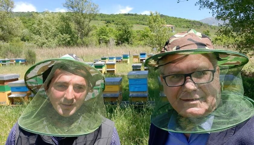 EMERGENZA ISTRICI NEL SALERNITANO, PERETTI E DE CILLIS: “NON SOLO ABBATTIMENTI, SERVE UN NUOVO APPROCCIO PER LA GESTIONE”