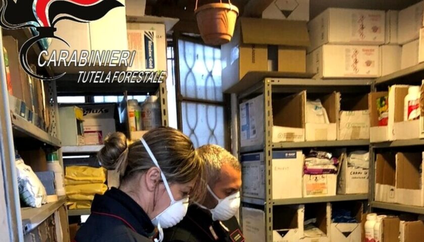 Fitofarmaci, scoperte irregolarità dopo il blitz in un’azienda salernitana