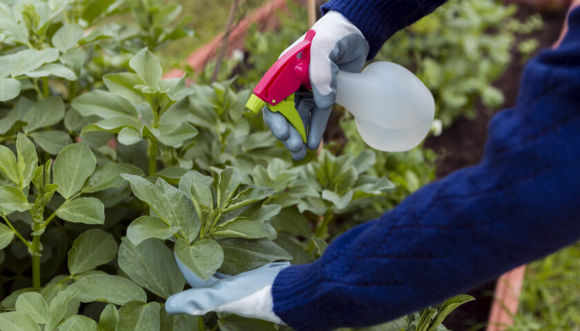 PESTICIDI: ATTENTI AL MINESTRONE ED A QUELLO CHE C’È DENTRO!
