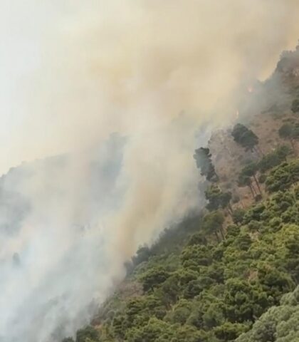 Sarno. Fiamme sul Monte Saretto, Sirica (FdI): “Sono necessari interventi di manutenzione”