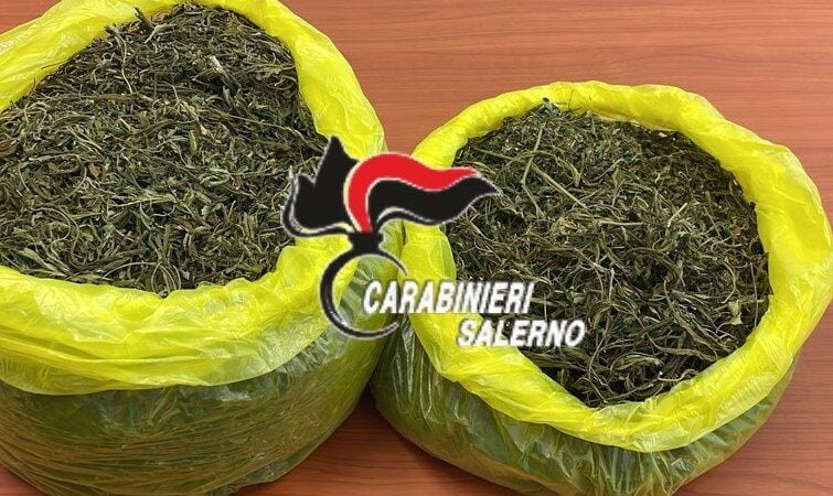 Droga in auto a Castelnuovo Cilento, arrestato un 46enne
