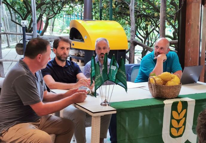 LOTTA AL MAL SECCO DEI LIMONI, DOMANI LE LINEE GUIDA REGIONALI
