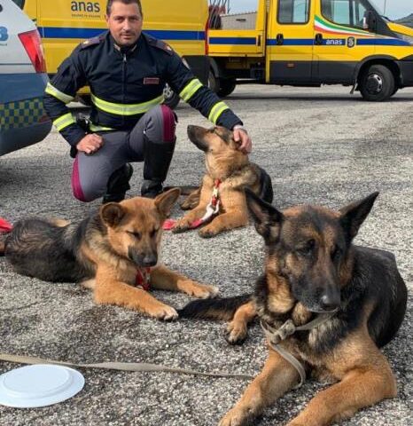 “Senontiportononparto”, lo spot della polizia contro l’abbandono degli animali