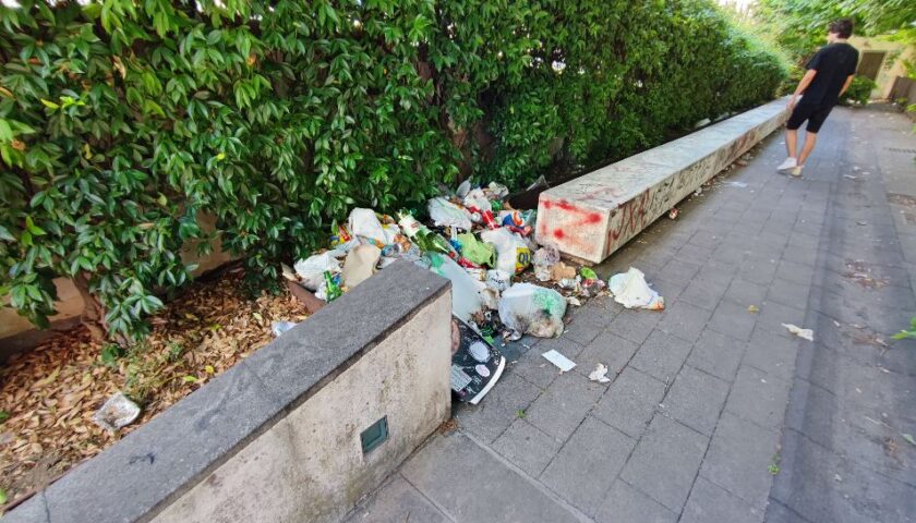Salerno, il Codacons: quartiere Carmine nel degrado, aiuole e aree verdi non curate. Intervenga il sindaco