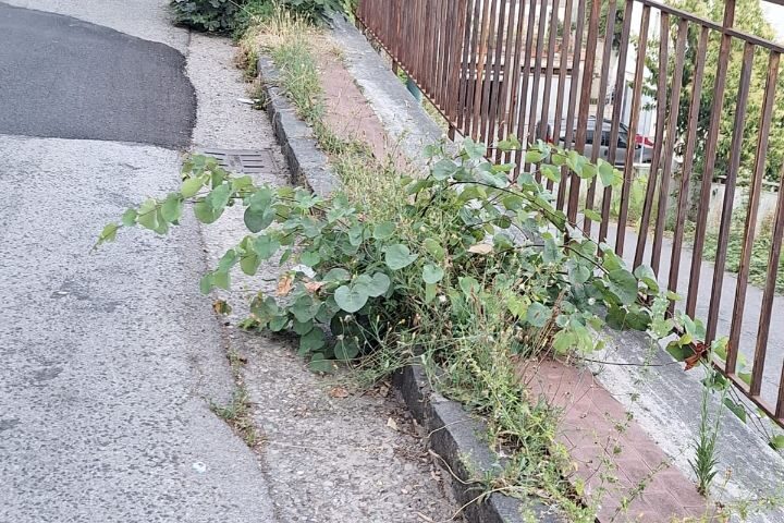 L’Associazione Help: quartieri di Salerno nel degrado