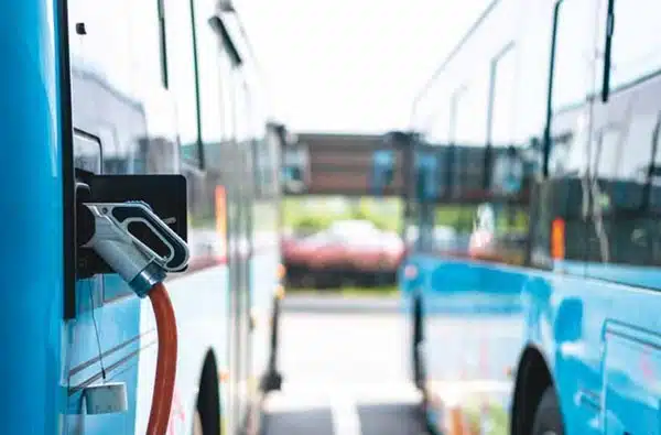 Trasporto pubblico, Naddeo: “Scandaloso spendere quasi 6 milioni per 9 bus elettrici”